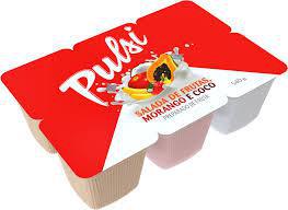 BEBIDA L PULSI BDJ 480g SALADA DE FRUTAS