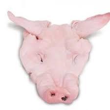 ORELHA / MASCARA SUINA SALGADA  kg