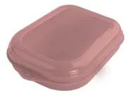 SANDUICHEIRA PLASVALE PLASTICA