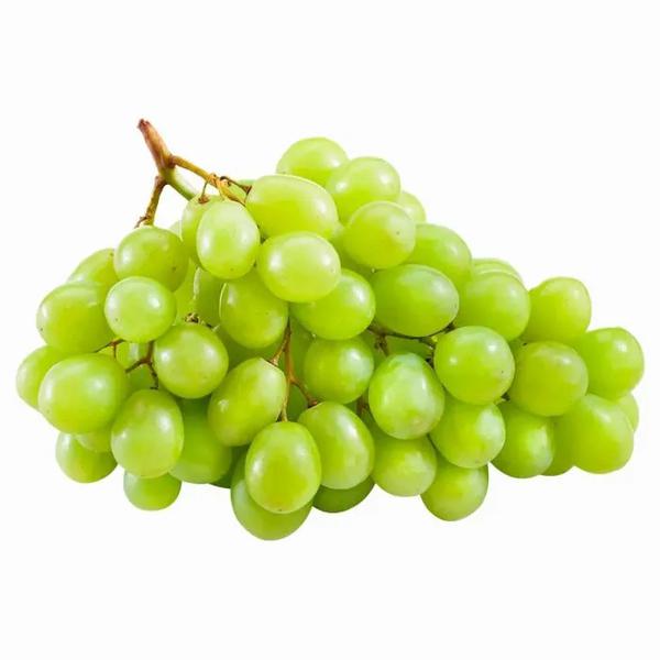 UVA COTTON CANDY 500G