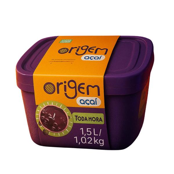 AÇAÍ ORIGEM TODA HORA 1,02KG