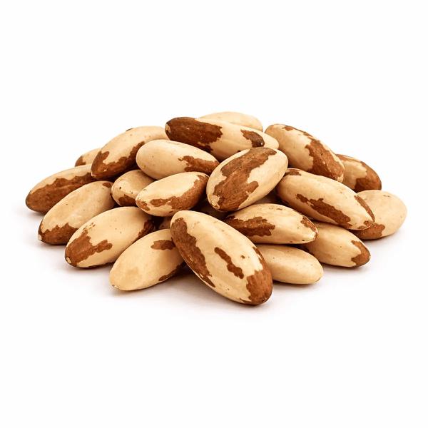 CASTANHA DO PARÁ LARGE TERRANA POUCH 100G