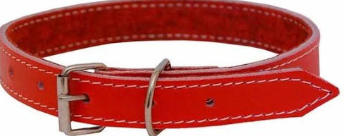 COLEIRA C/FREUTRO P/CÃES PET GARDEN N-4