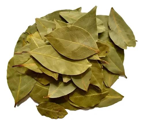 FOLHA LOURO 30G