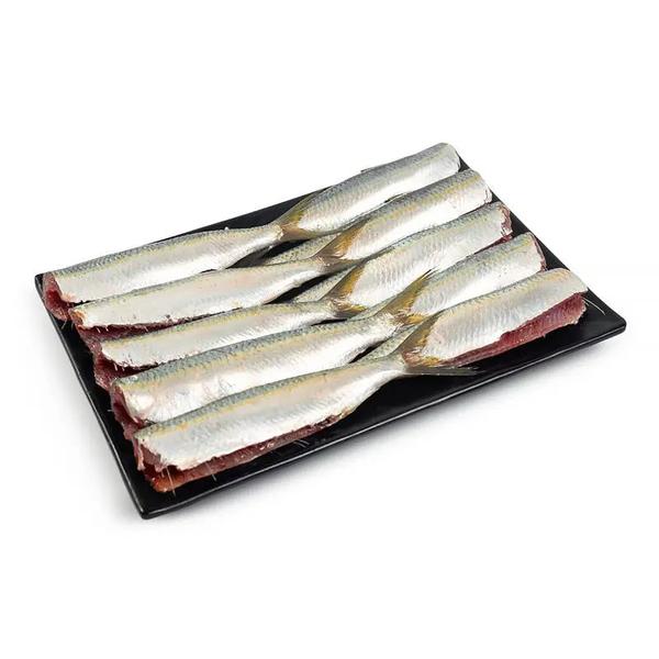 PEIXE SARDINHA LIMPA CONGELADO KG