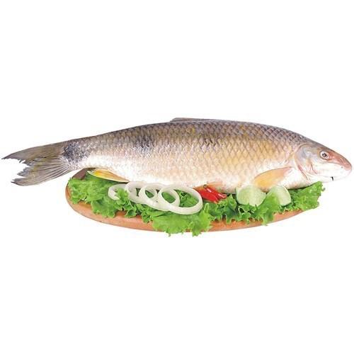 PIAU FRESCO KG