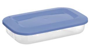 POTE RETANGULAR  C/TAMPA HERMÉTICO SANTANA 2,47L