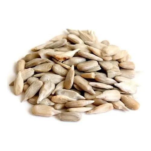 SEMENTE DE GIRASSOL TERRANA POUCH 150G