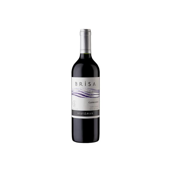 VINHO TINTO CHILENO BRISA CARMENERE 750ML
