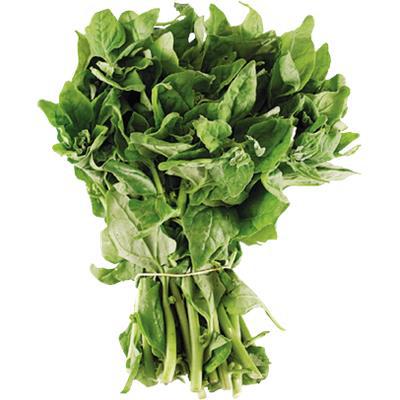 ESPINAFRE                        UN