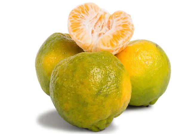 LARANJA POCAN KG