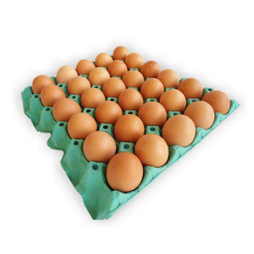 OVO HOLANDES JOVANIL VERMELHO  C/30