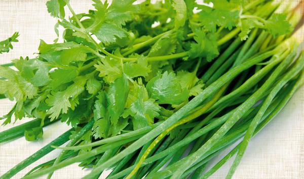 SALSA&CEBOLINHA VERDE&CIA       70G