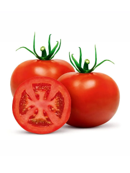 TOMATE SELECIONADO KG