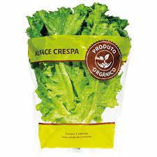 ALFACE CRESPA ORGANICA COOPEG