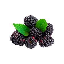 AMORA ORGANICA CONG 500GR CAORE