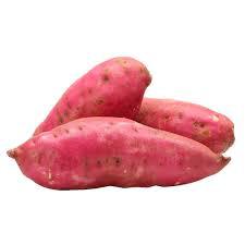 BATATA DOCE AO KG ORGANICOS MAOS NA TERRA