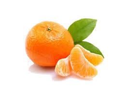 BERGAMOTA MORGOTA KG