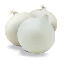 CEBOLA BRANCA