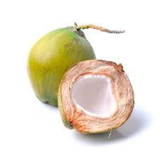 COCO VERDE UND