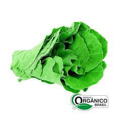 COUVE FOLHA ORGANICA MAOS NA TERRA UND