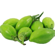 JILO 200G PROROK