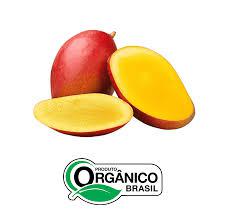 MANGA PALMER ORGANICA 500G