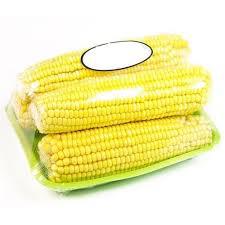 MILHO VERDE BDJ 5 ESPIGAS