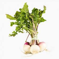 NABO MOLHO UND