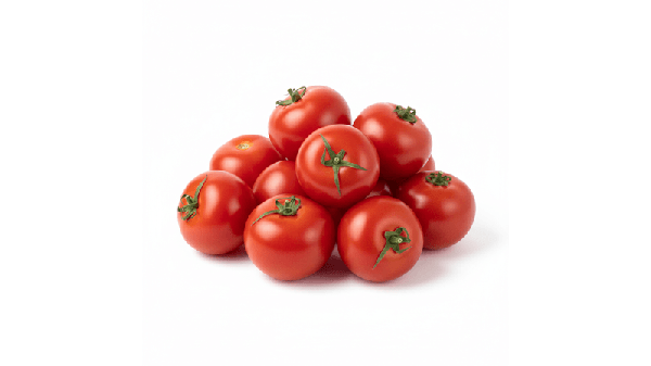 TOMATE HOLANDES KG