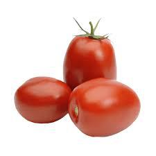 TOMATE ITALIANO 1KG ORGANICO MAOS NA TERRA