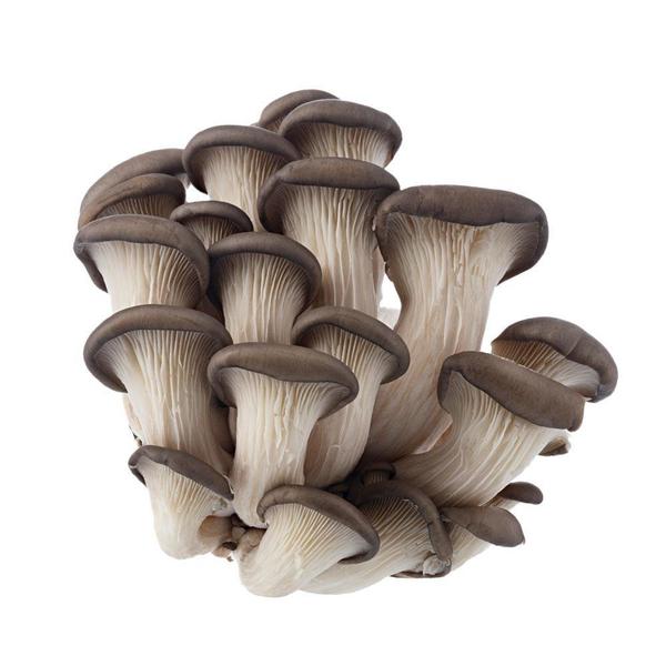 COGUMELO CULTRI 200 GR SHIMEJI g