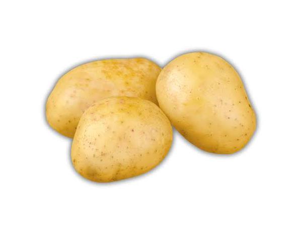 BATATA ORGANICA 600G