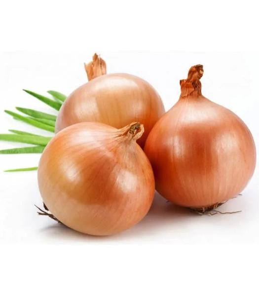 CEBOLA ORGANICA 600G