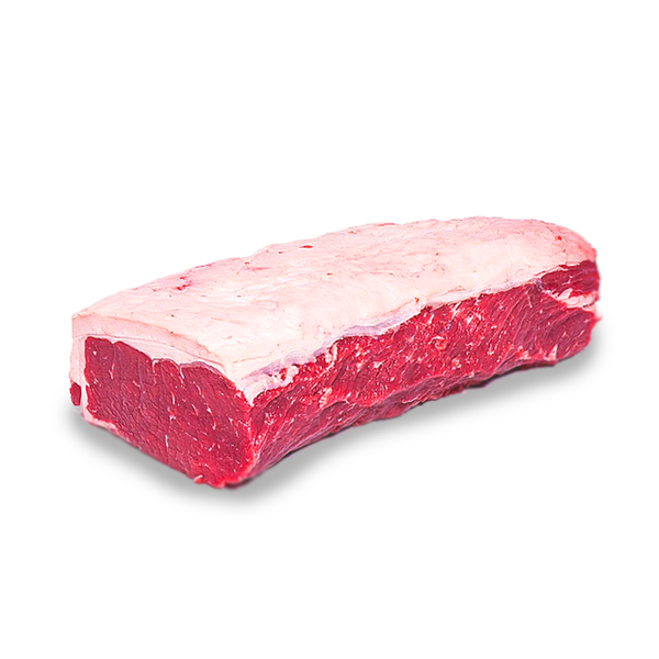 CONTRA FILE FRIGOSUL KG