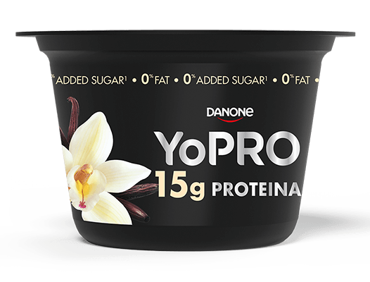 IOGURTE DANONE BAUNILHA 160G