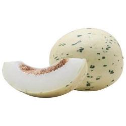 MELAO CEPI MATISSE KG