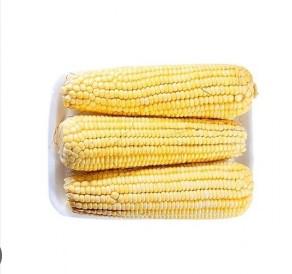 MILHO SWEET CORN 450G