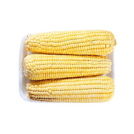 MILHO VERDE BDJ BENASSI 700G