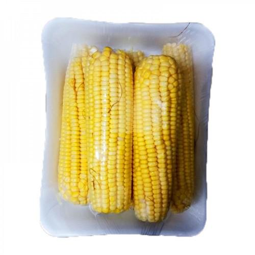 MILHO VERDE BDJ CAMPO TEN 700G