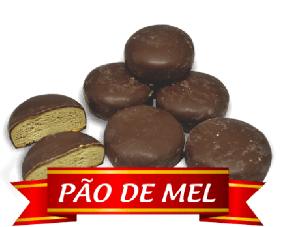 PAO DE MEL BISCOITO VIVENDA MINEIRA 250G