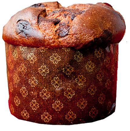 Chocotone Hercules 400g