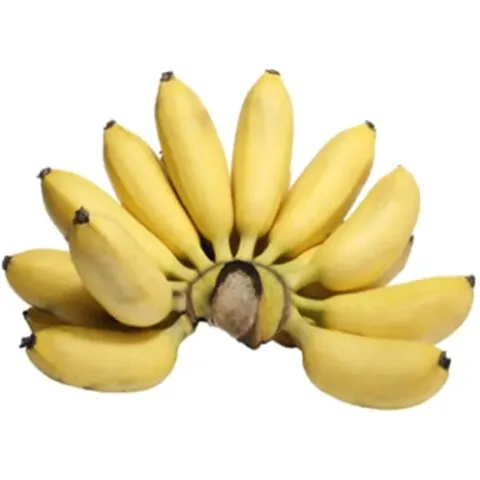 BANANA OURO KG