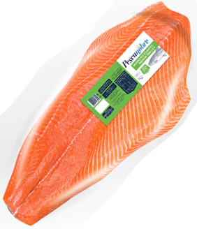 FILE DE SALMAO PORCAO PESCA NOBRE 500GR