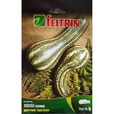 SEMENTES FELTRIN ABOBORA GOIANINHA  5G