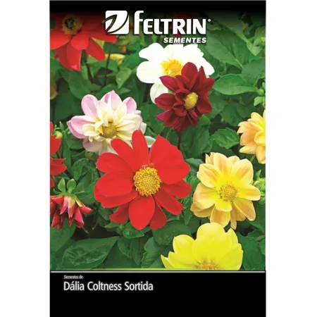SEMENTES FELTRIN DALIA SORTIDA 300 MG