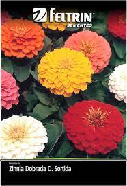 SEMENTES FELTRIN ZINNIA DOBRADA 290 G