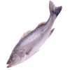 PEIXARIA