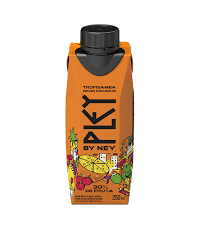 BEBIDA MISTA TROPISAMBA PLEY 250ML