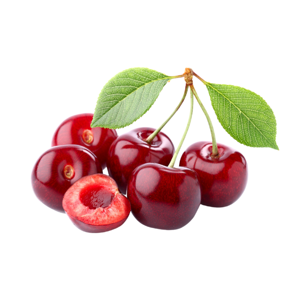 CEREJA SACO UND